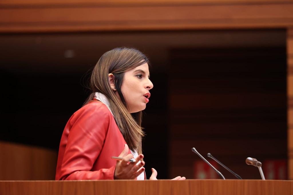 El Grupo Parlamentario Socialista de las Cortes exige a la Junta un plan específico de empleo y reindustrialización para las comarcas mineras